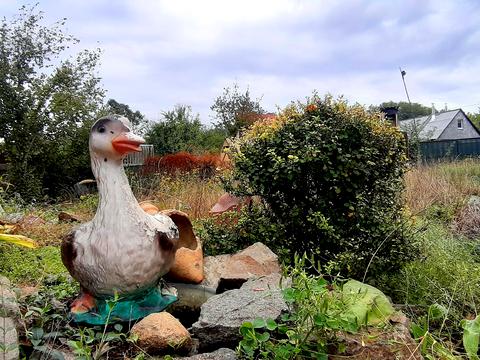 будинок за адресою Східна