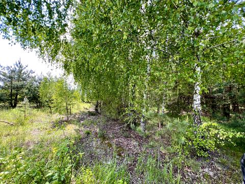 ділянка за адресою с. Блиставиця, 