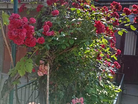 дом по адресу 2-й Чорноморський провулок