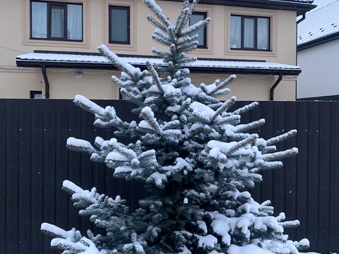 будинок за адресою Полтавська вул., 5а