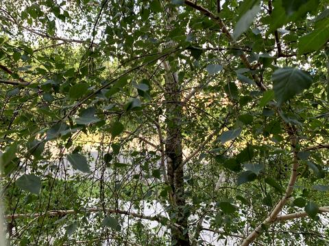 квартира по адресу Кавалерійська ул., 9