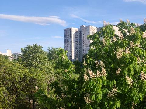 квартира по адресу Валентиновская ул. (Блюхера), 27