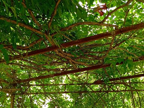 будинок за адресою Центральна вул. (Пролетарська), 79/80