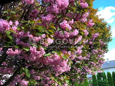 будинок за адресою Київська вул.