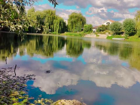 участок по адресу Жукова, 47