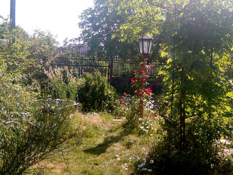 дом по адресу Рибальська