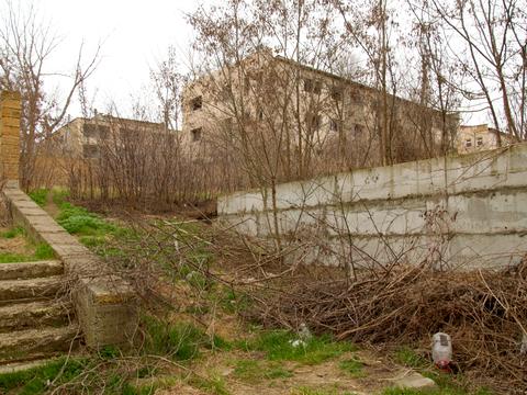 ділянка за адресою смт. Овідіополь, тетаральна