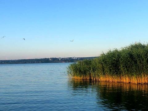 ділянка за адресою с. Шеметове (Щорсове), Лиманна