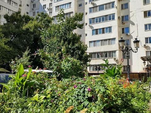 квартира за адресою Анатра пров. (Генерала Вишневського), 13/1