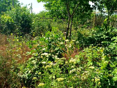 будинок за адресою провулок Батайській, 82