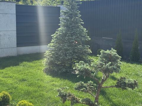 будинок за адресою Володимирська вул.