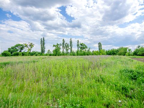 участок по адресу с. Супруновка, Центральна, 1