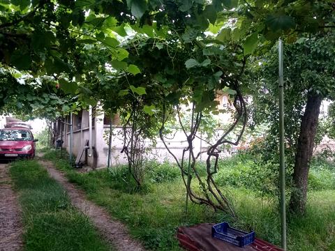 будинок за адресою Тарнівецька вул.