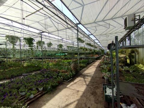 комерційна за адресою Патруса-Карпатського вул., 28