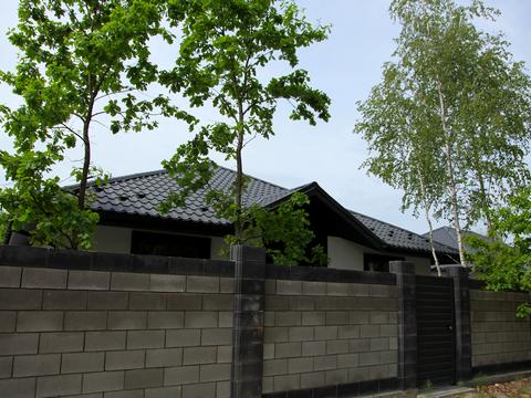 дом по адресу Бориса Лятошинського ул. (1 Травня)