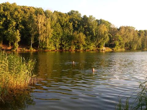 будинок за адресою Квіткова