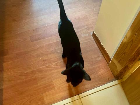 будинок за адресою Івана Кочерги вул.