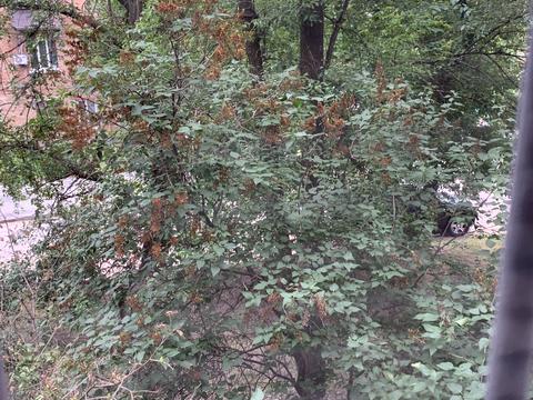 квартира по адресу Науки просп., 70/1