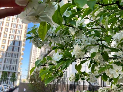 квартира по адресу Михаила Максимовича ул. (Трутенко Онуфрия), 28-Б