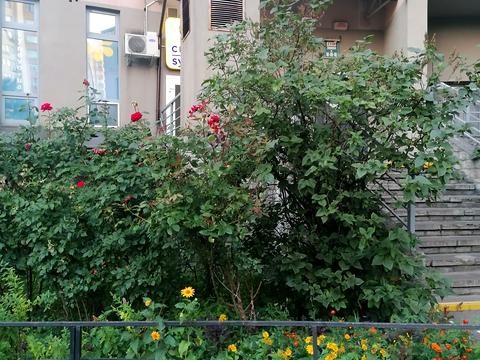 квартира за адресою Митрополита Андрея Шептицького вул. (Анатолія Луначарського), 10