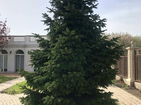 дом по адресу Александрийская ул.