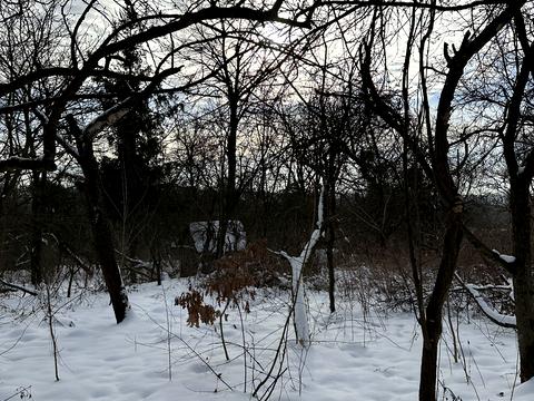 ділянка за адресою Холодна вул.