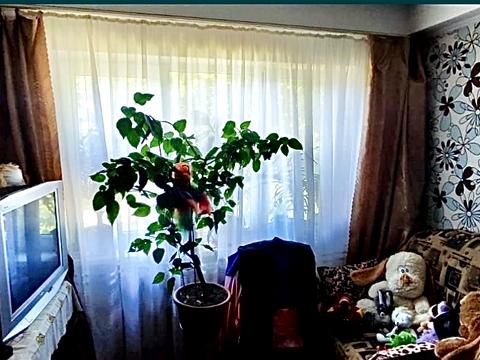 квартира по адресу Бочарова ул., 8-Б