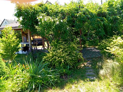 будинок за адресою Центральна вул. (Пролетарська), 79/80