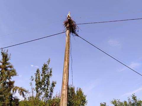 ділянка за адресою Садовая, 8