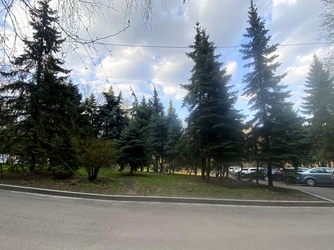 квартира за адресою Сокол 1, 1