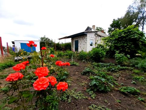 будинок за адресою Центральна, 3