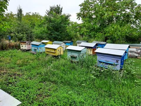 будинок за адресою Центральна
