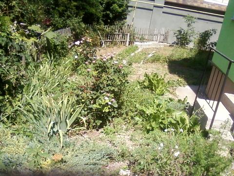 будинок за адресою Мускатна вул. (Зої Космодем'янської), 5