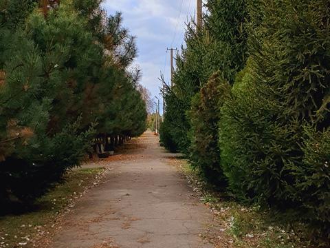 комерційна за адресою Чапаева, 47