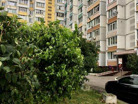 квартира по адресу Строкова, 1