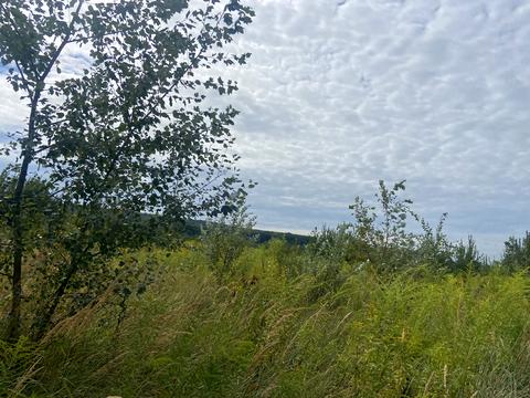 ділянка за адресою Небесної сотні