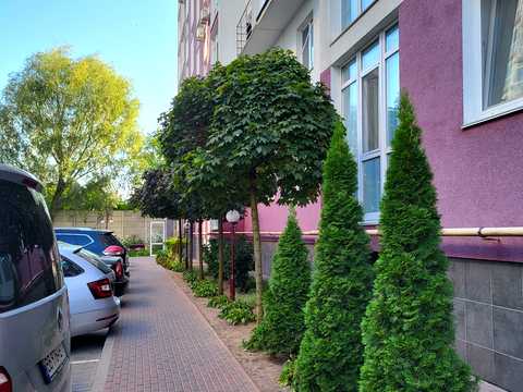 квартира за адресою Вишнева вул., 25