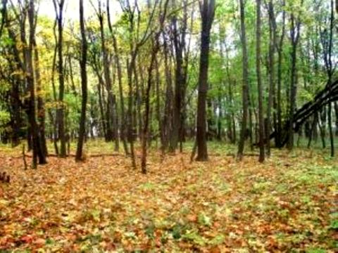 ділянка за адресою Лисогірська вул.