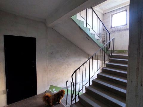 квартира за адресою Лісового вул., 29