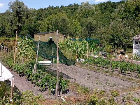 будинок за адресою с. Хвильово-Сорочин, Перемоги