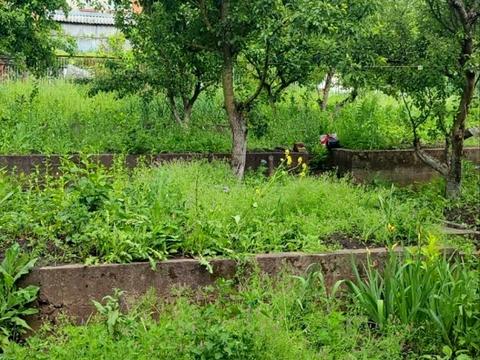дом по адресу Лісова