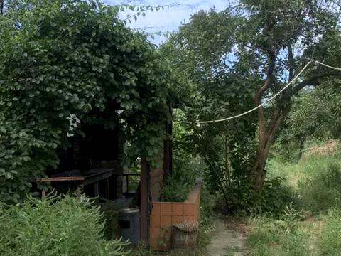 дом по адресу Гетманская ул. (Ванды Василевской)