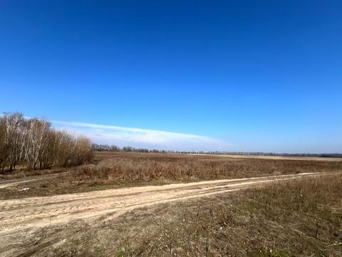 ділянка за адресою смт. Гостомель, 