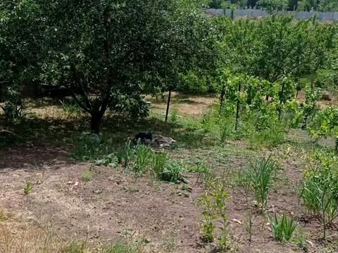 будинок за адресою провулок Тихий, 50