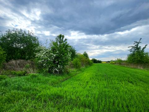 ділянка за адресою 