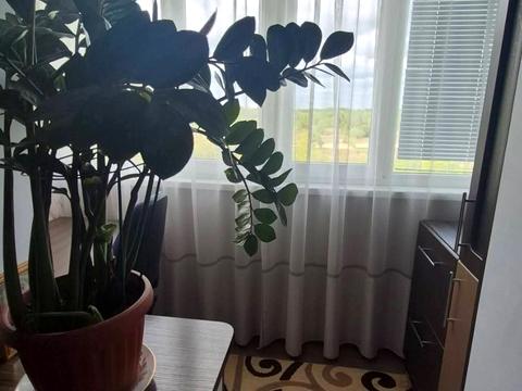 квартира за адресою Романа Шухевича вул. (Гастелло), 22
