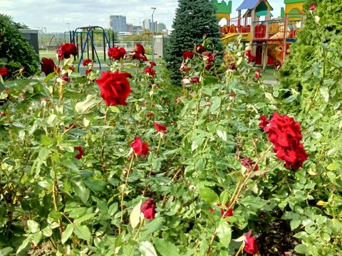квартира за адресою Трускавецька вул., 4-Б