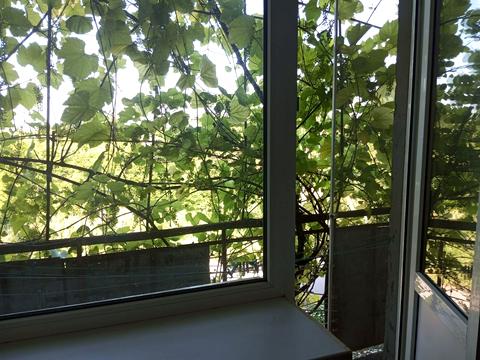 квартира за адресою Центральна, 3