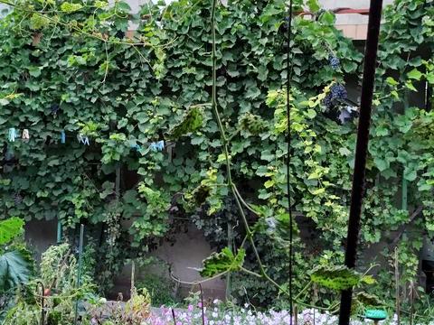 будинок за адресою Академіка Гаркавого вул. (Житомирська)