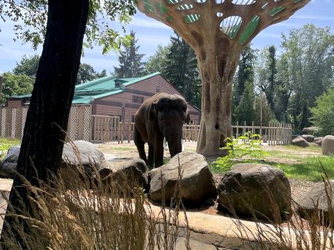 квартира за адресою Олекси Тихого вул. (Виборзька), 80/17